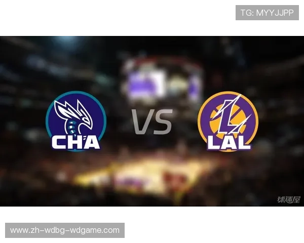 黄蜂队近年阵容变化与未来发展潜力